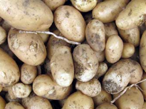 Potato Nutrition Potato Nutrition