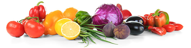 cezars-wellness2